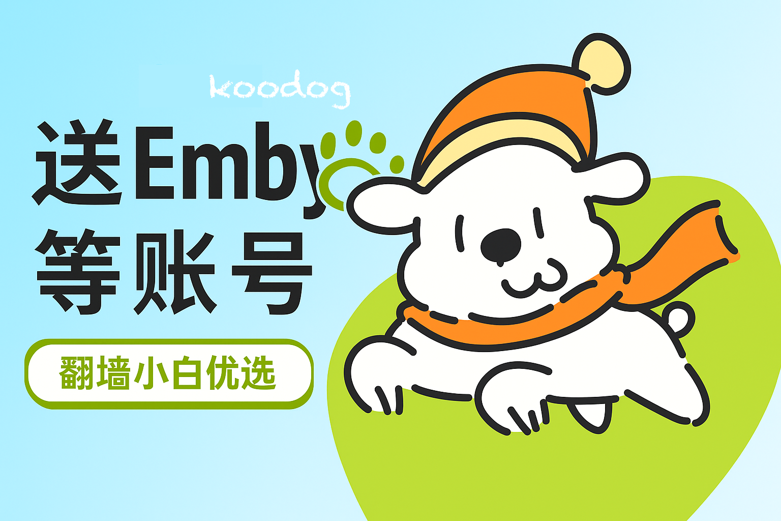 每周机场测速测评——KooDog