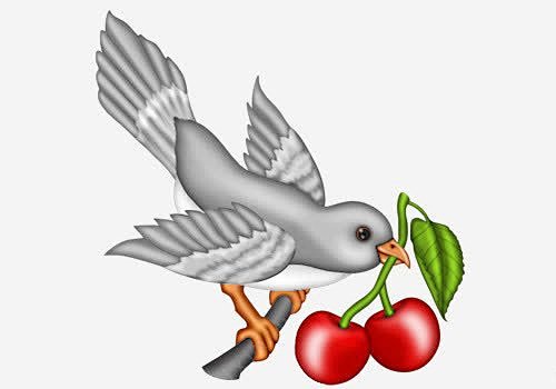 Cherry Network机场怎么样？——🍒Cherry Network