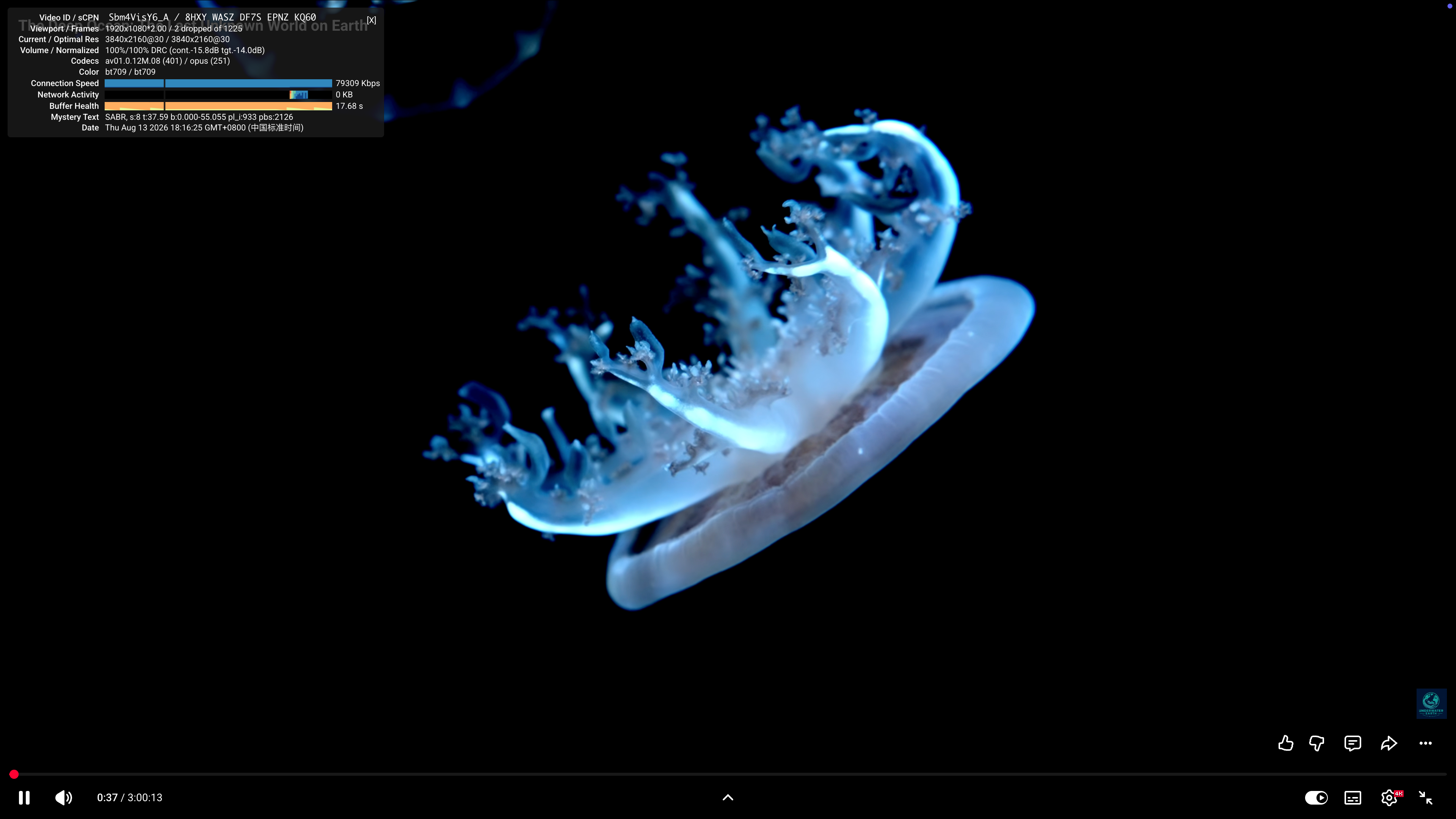 181018e3-fd4b-402d-b9ae-e5d4b6769296.png